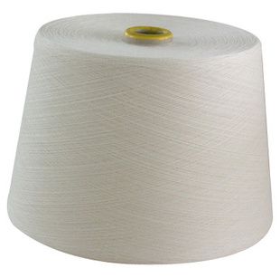 苏州震泽,是一个专业生产各类高品质再生纤维纱线及坯布的现代化企业